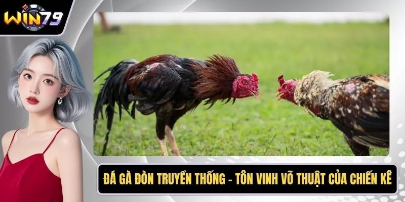 Đá gà đòn truyền thống