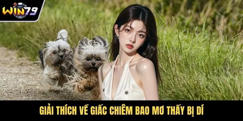 Giải thích về giấc chiêm bao mơ thấy bị dí