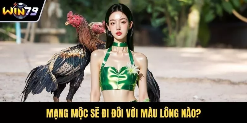 Mạng mộc sẽ đi đôi với màu lông nào?
