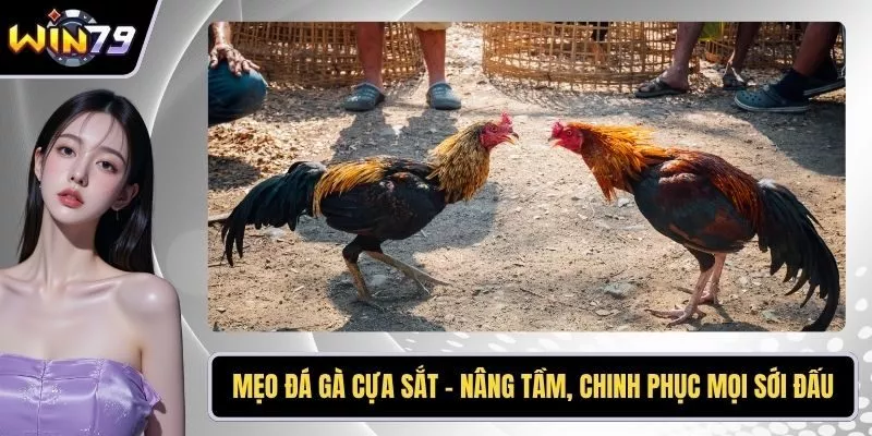 Mẹo đá gà cựa sắt
