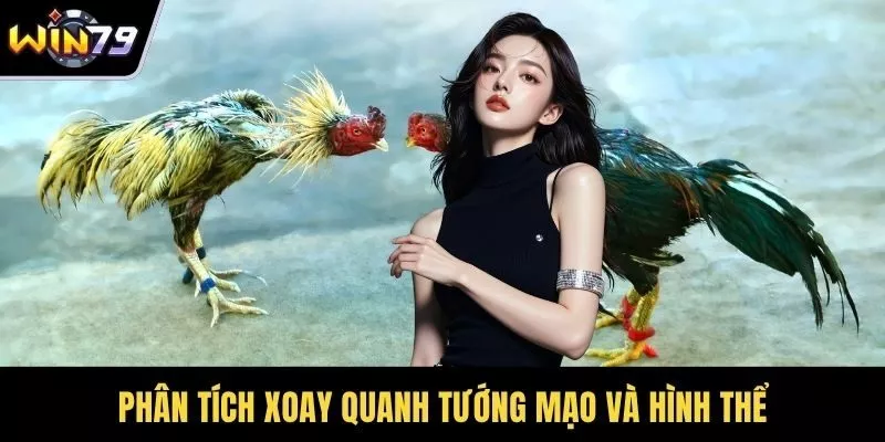 Phân tích xoay quanh tướng mạo và hình thể