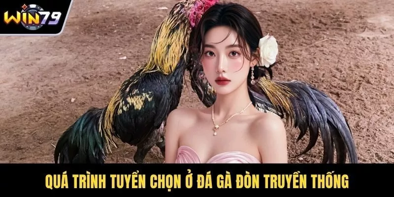 Quá trình tuyển chọn ở đá gà đòn truyền thống