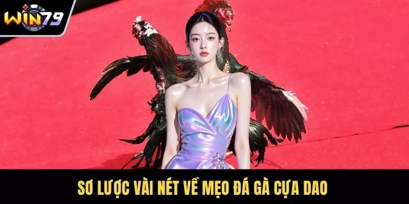 Sơ lược vài nét về mẹo đá gà cựa dao