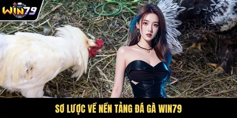 Sơ lược về nền tảng đá gà WIN79