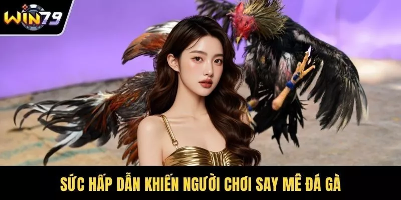 Sức hấp dẫn khiến người chơi say mê đá gà