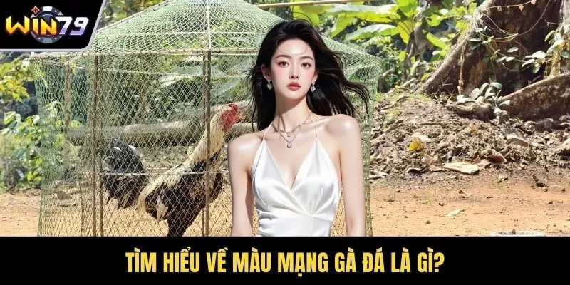 Tìm hiểu về màu mạng gà đá là gì?