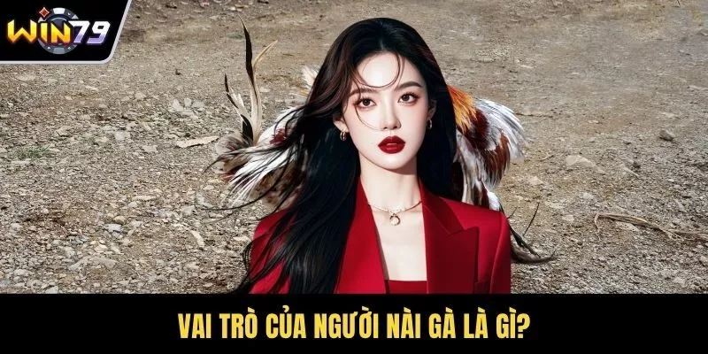 Vai trò của người nài gà là gì?